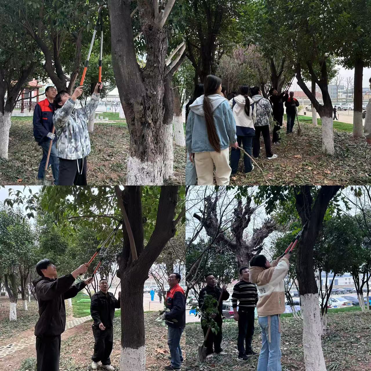 圖示, 示意圖&#10;&#10;中度可信度描述已自動生成:ver1
